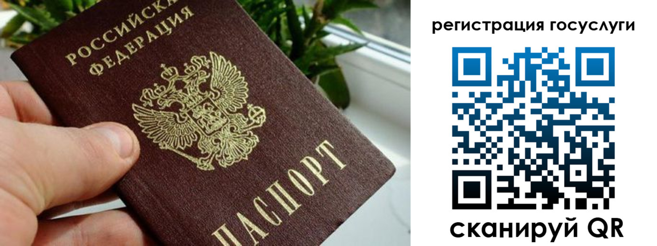 прописка для кредита в Кингисеппе